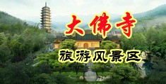 国产美女被艹逼爽中国浙江-新昌大佛寺旅游风景区